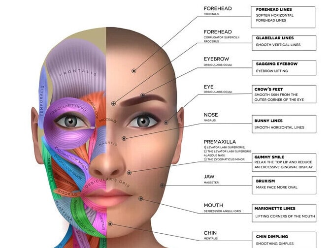 Advanced antiwrinkle/ toxin training