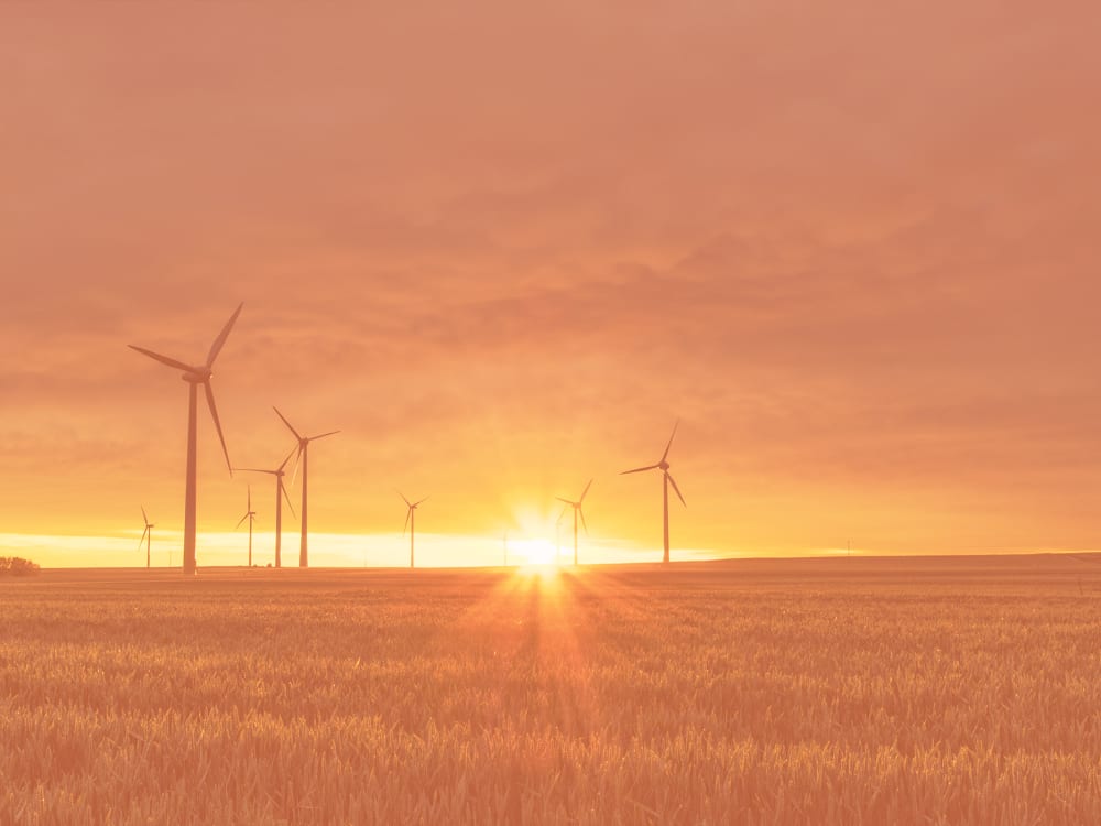 The Future of MEES Regs and What It Means for Landlords & Tenants