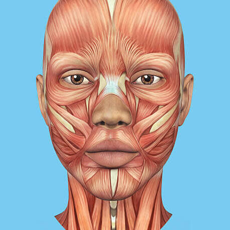 Foundation toxin 