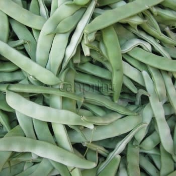 Runner Beans