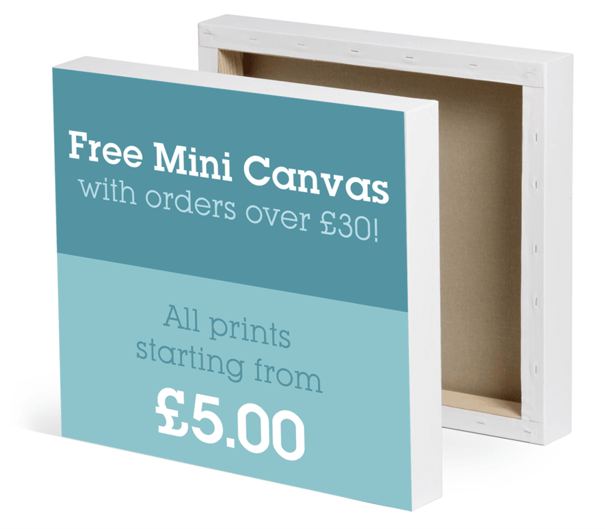 Free canvas mini print from Canvas Printing Online