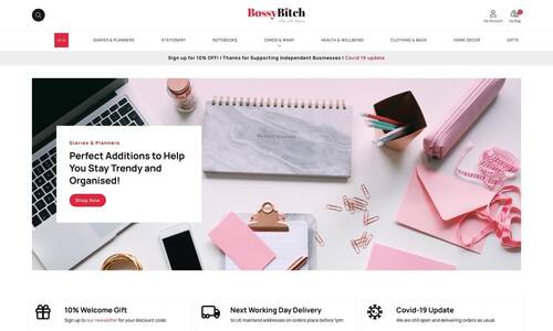 Ecommerce Web Design Example