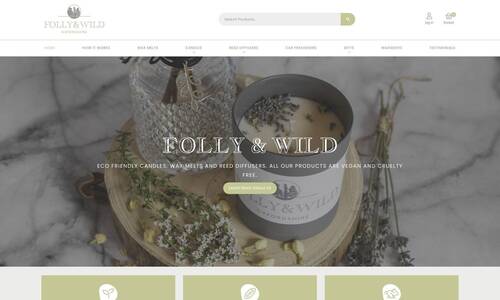 Ecommerce Web Design Example