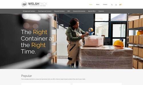 Ecommerce Web Design Example