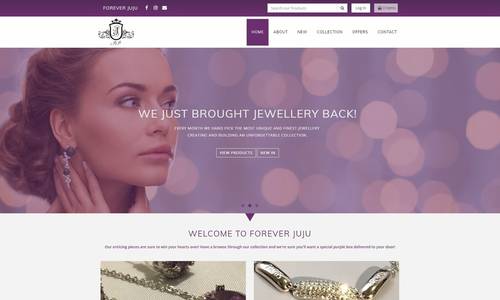 Ecommerce Web Design Example