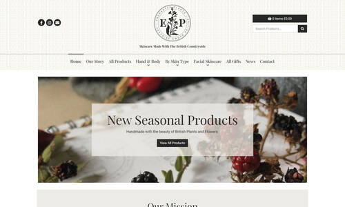 Ecommerce Web Design Example
