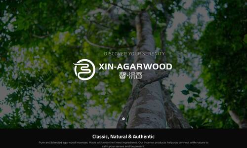 Ecommerce Web Design Example