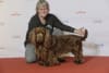 Billede af Sussex spaniel