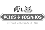 Logotipo do cliente Pelos e Focinhos