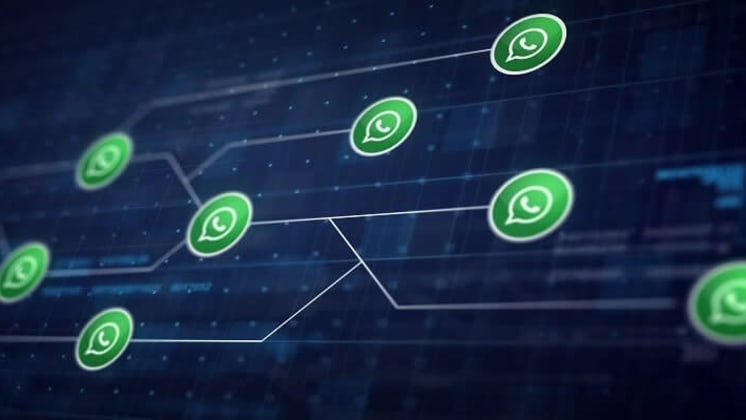 Thumbnail do post Whatsapp para negócios: fique por dentro da novidade