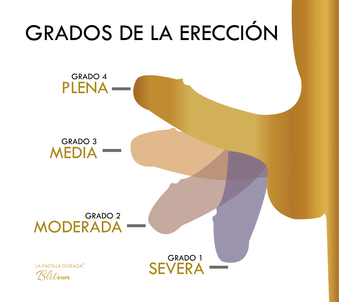 Grados de Erección