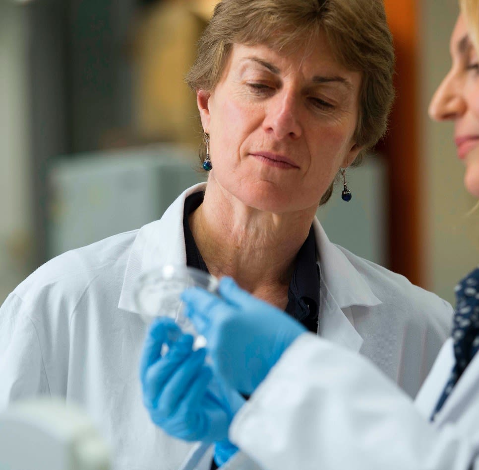 Atrial Fibrillation Genetics Research – Summer Update, Victor Chang Institute