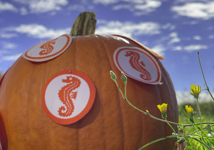 How Pimpertz.de Optimized Customer Service for Germany’s Next Generation of Swimmers