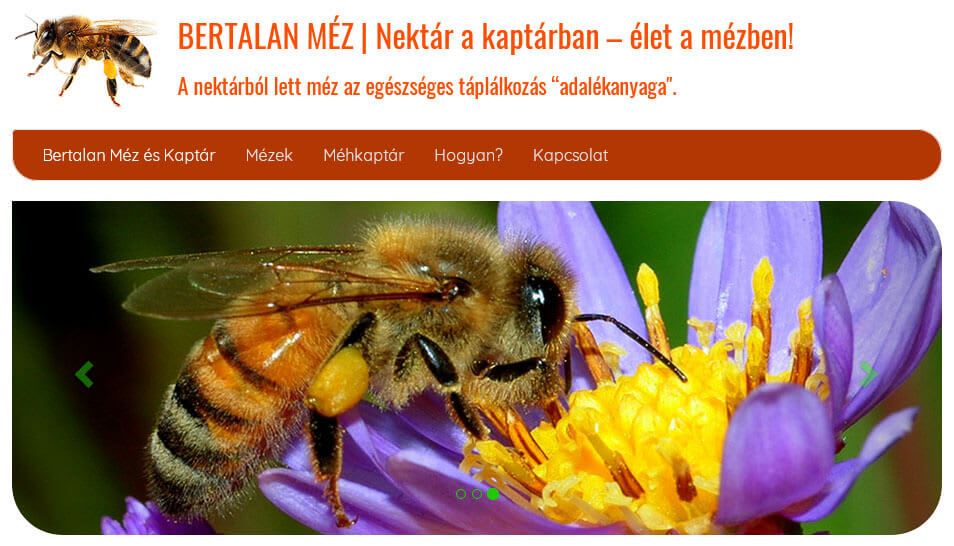 Karbonsemleges a méhész weboldala! | website.carbonoffset.hu Karbonsemleges a méhész weboldala! | website.carbonoffset.hu