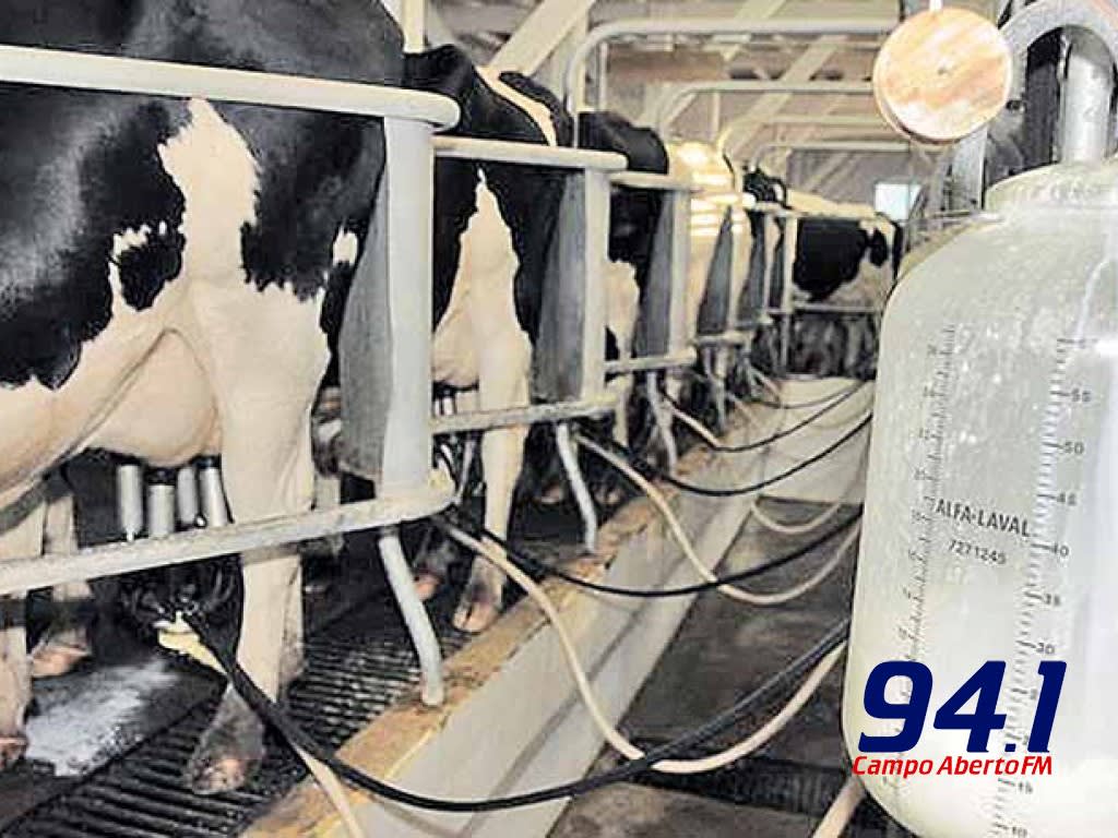 Conseleite ParanÃ¡ apresenta aumento nos preÃ§os e nos volumes de produtos lÃ¡cteos comercializados no Estado