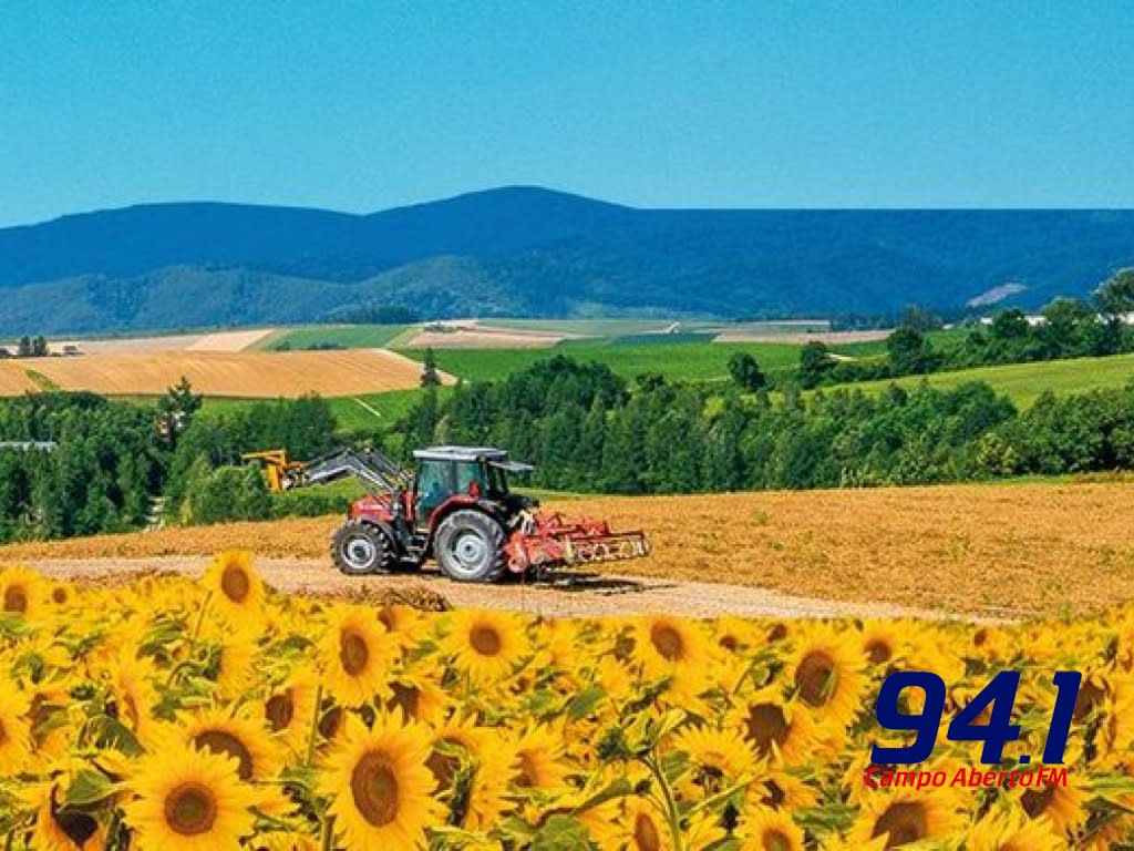 Plano Safra 2020/2021 destina R$ 236,3 bilhÃµes em recursos