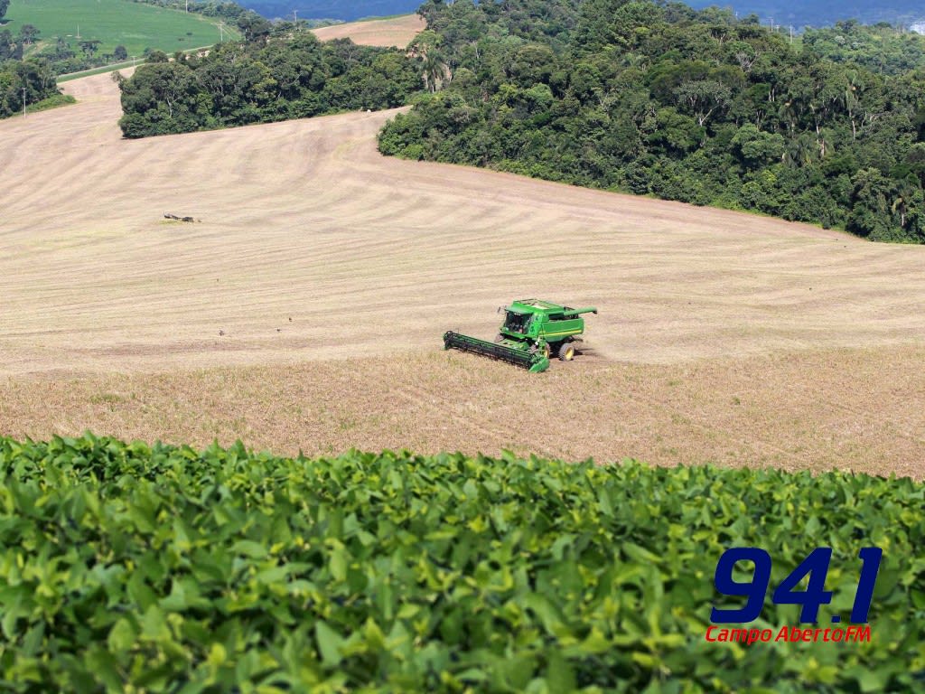 Agricultura apresenta boletim semanal da produÃ§Ã£o agropecuÃ¡ria