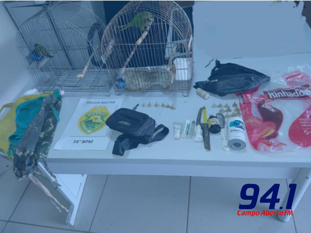 Marquinho: PM estoura rinha de galos na localidade Pedra Branca interior do municÃ­pio