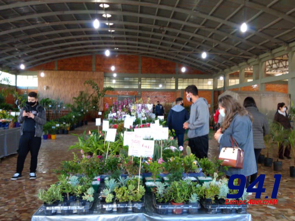 Grupo de whatsapp Rotary vende mudas traz comodidade na comercializaÃ§Ã£o