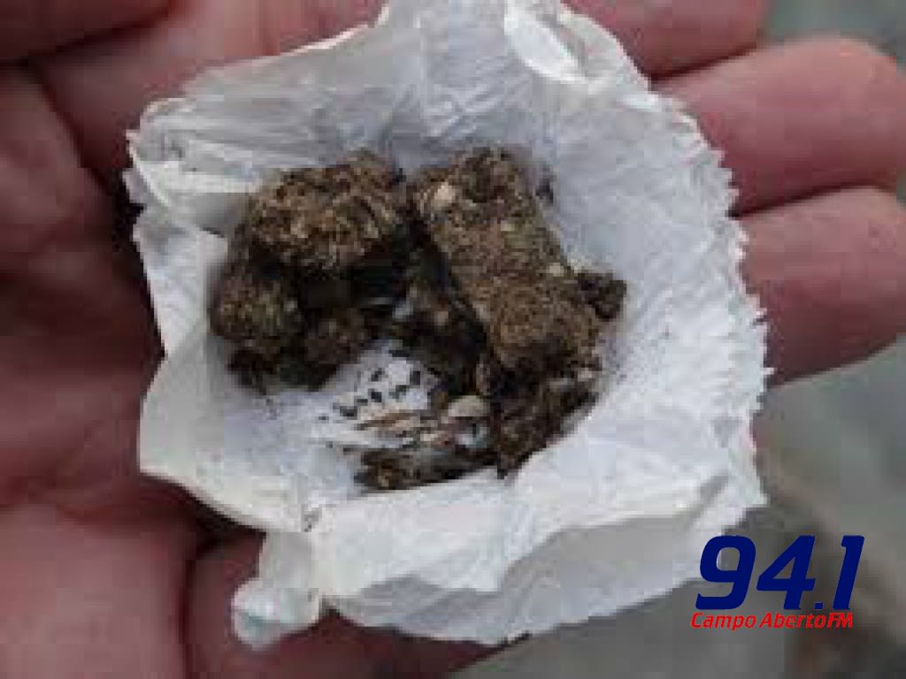 Laranjeiras: PM prende indivÃ­duo com maconha e com mandado de prisÃ£o no bairro JoÃ£o Fernandes