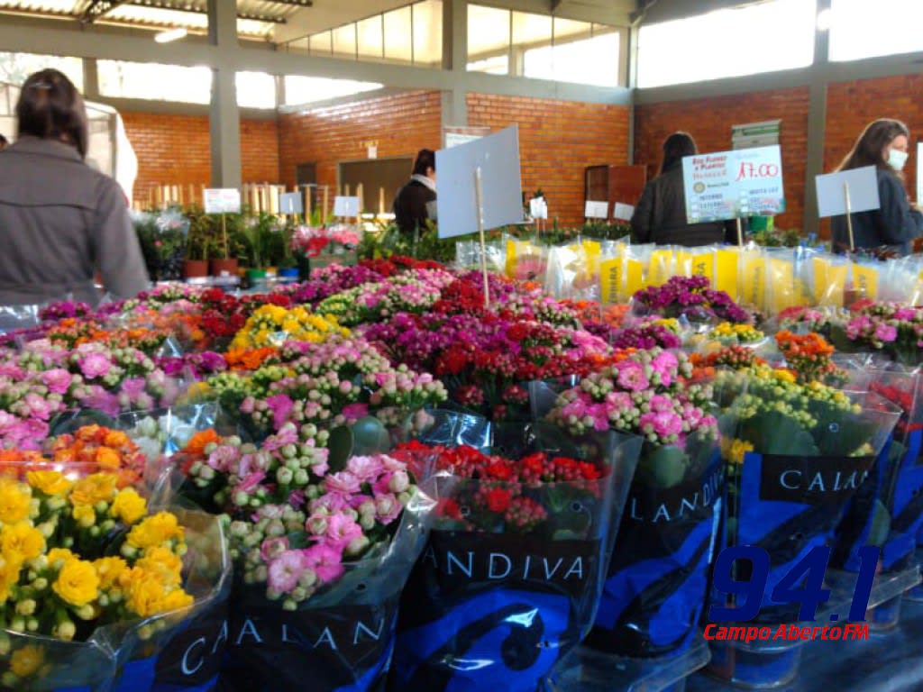 Sucesso - Rotary Vende Mudas em Laranjeiras do Sul movimentou R$ 87 mil reais em comercializaÃ§Ã£o