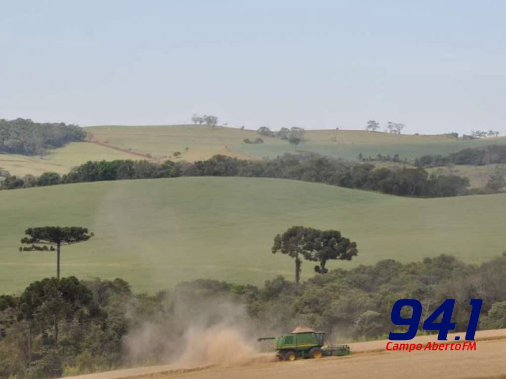 IDR-ParanÃ¡ completa 200 dias de existÃªncia