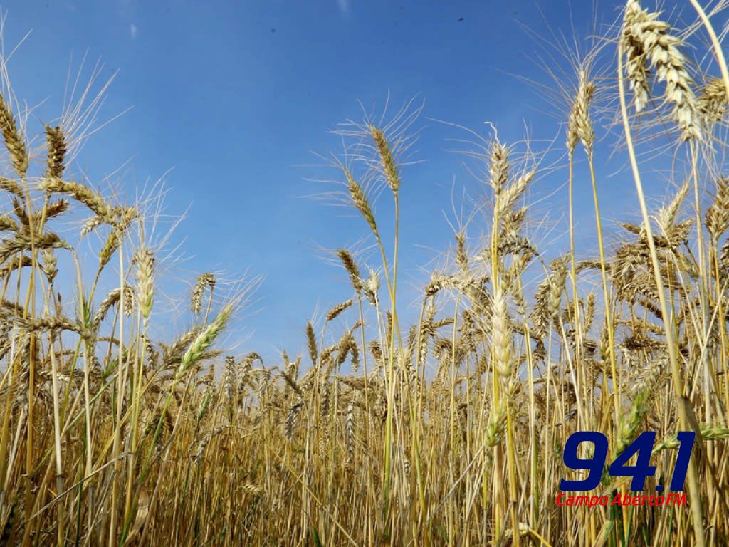 Confira o boletim semanal agropecuÃ¡rio do DERAL (semana de 27 a 31 de julho)