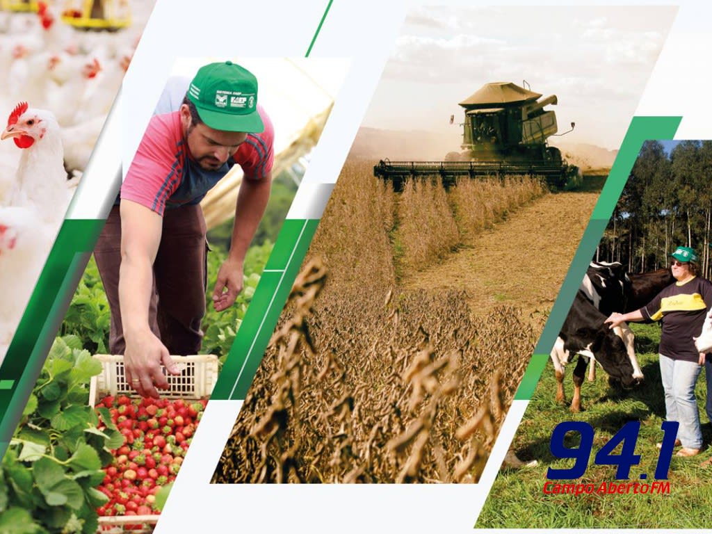 Prazo para declarar o ITR vai atÃ© 30 de setembro