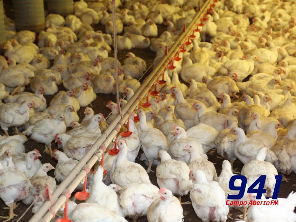 VBP do ParanÃ¡ em 2019 bate recorde e soma R$ 97,7 bilhÃµes