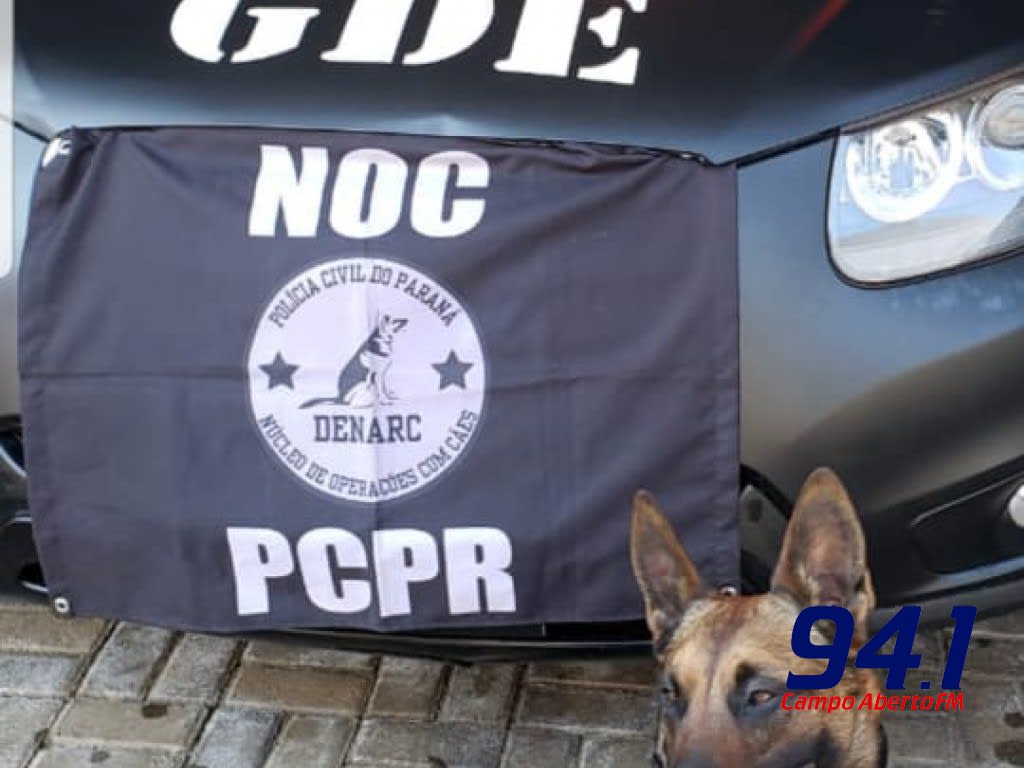 Laranjeiras: Mulher Ã© presa por trÃ¡fico de drogas na Vila Palmeiras