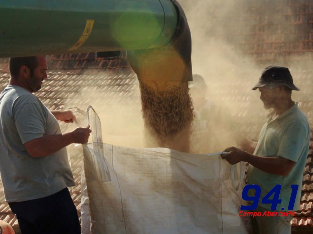 DERAL - Boletim agropecuÃ¡rio analisa produÃ§Ã£o de grÃ£os no Estado