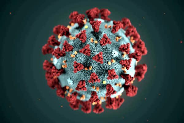 Brasil registra mais 43.773 casos de Covid-19 e total de infectados chega a 4.041.638