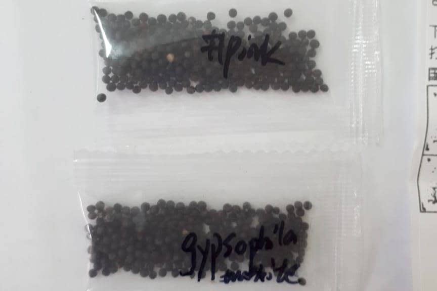 Adapar alerta sobre recebimento de sementes nÃ£o encomendadas