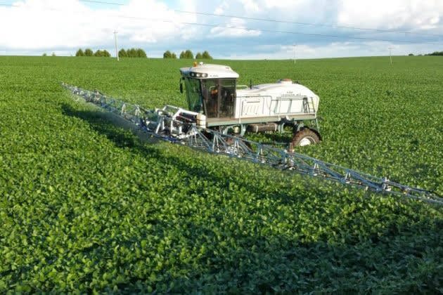 Anvisa autoriza uso do estoque de paraquate na safra 2020/21