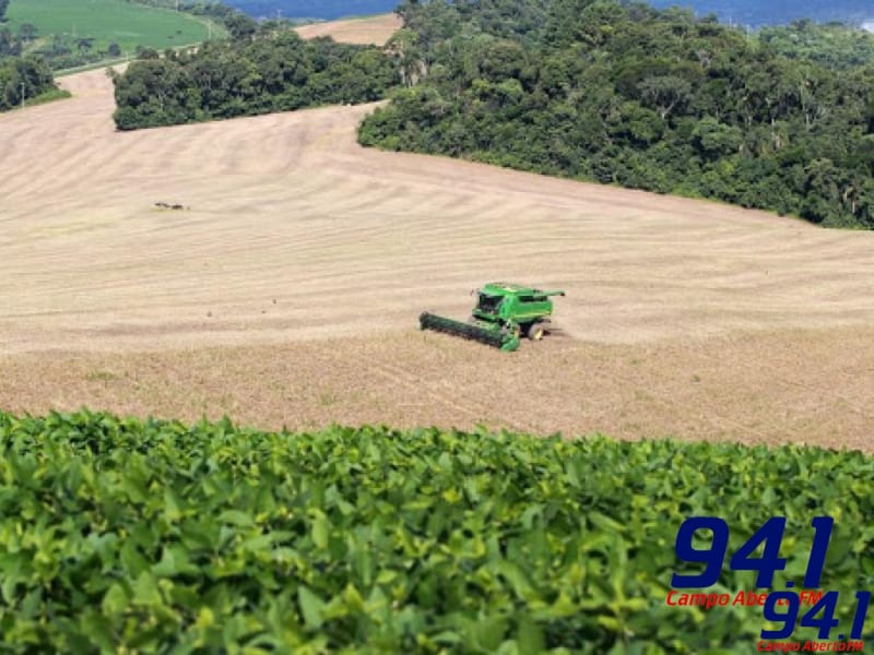 Deral divulga a evoluÃ§Ã£o semanal das principais culturas no ParanÃ¡