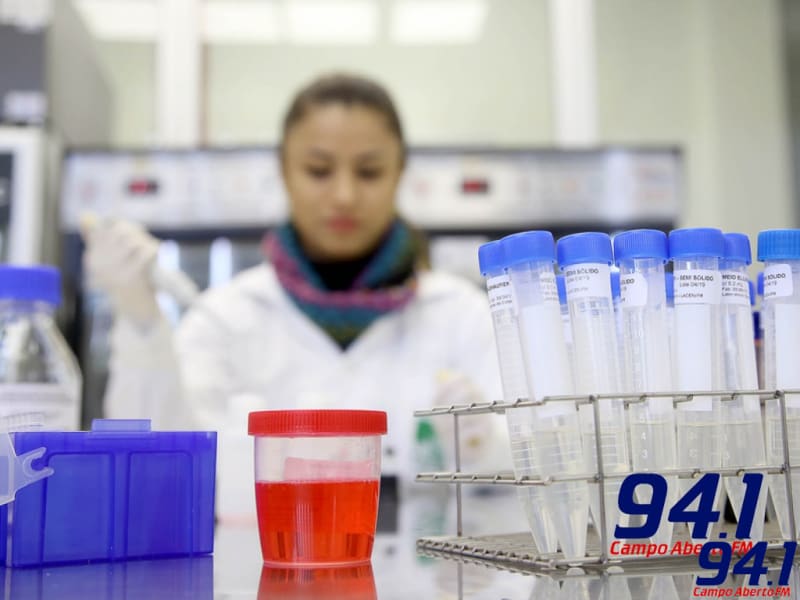 ParanÃ¡ confirma 14 mortes e 1343 novos casos de coronavÃ­rus em 24 horas