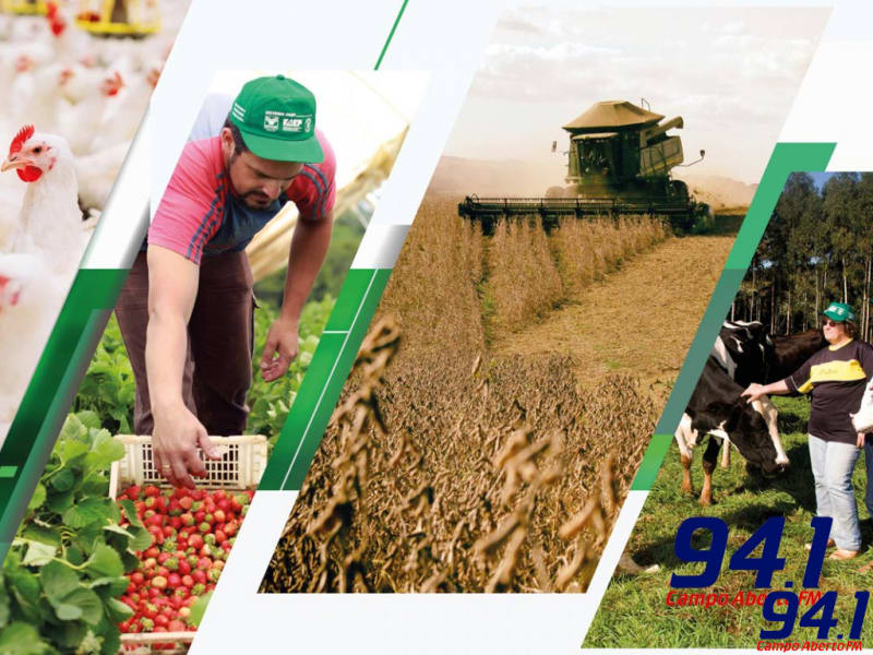 Prazo para declarar o ITR vai atÃ© 30 de setembro