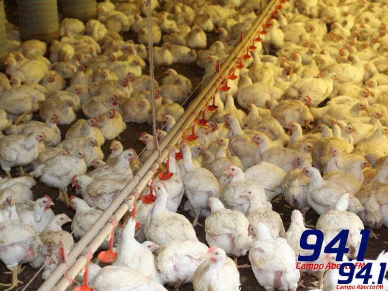 VBP do ParanÃ¡ em 2019 bate recorde e soma R$ 97,7 bilhÃµes