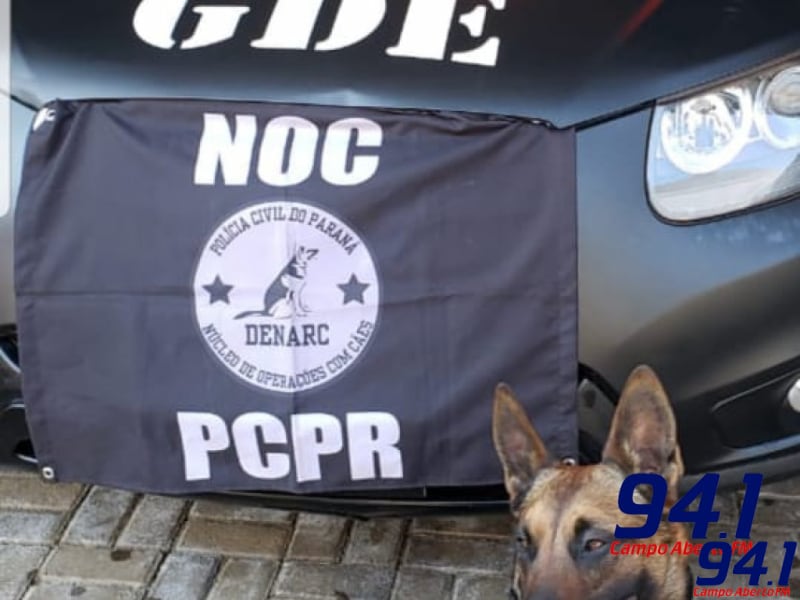 Laranjeiras: Mulher Ã© presa por trÃ¡fico de drogas na Vila Palmeiras