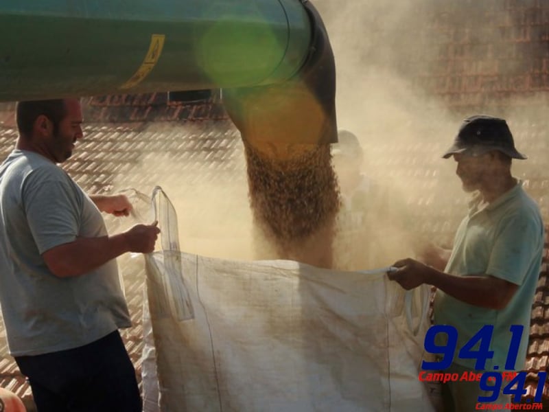 DERAL - Boletim agropecuÃ¡rio analisa produÃ§Ã£o de grÃ£os no Estado