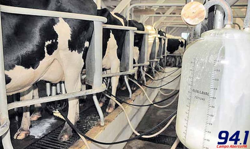 CEPEA atualiza preÃ§o do litro do leite pago ao produtor 