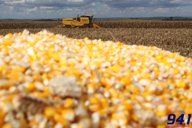 Boletim agropecuÃ¡rio ressalta bons preÃ§os do milho ao produtor