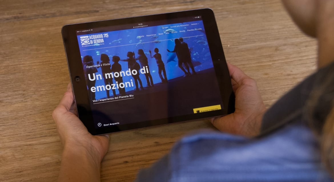 Strategia, Web e Mobile, Storytelling, E-commerce