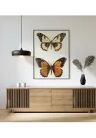 Plakatas „Drugelis“ – gyvūnų plakatas | Framein – miniatiūra 2