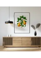 Paveikslas „Vintažiniai augalai 19“ – botanikos plakatas | Framein – miniatiūra 2