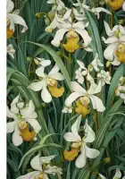 Raštų plakatas „Orchidėja“ – rašto plakatas | Framein – miniatiūra 1