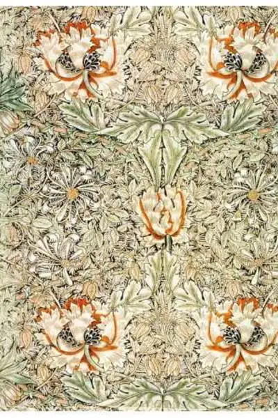 Plakatas „William Morris 17“ – rašto plakatas | Framein