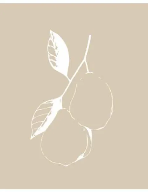 Minimalistinis plakatas „Vaisiai“ – minimalistinis plakatas | Framein