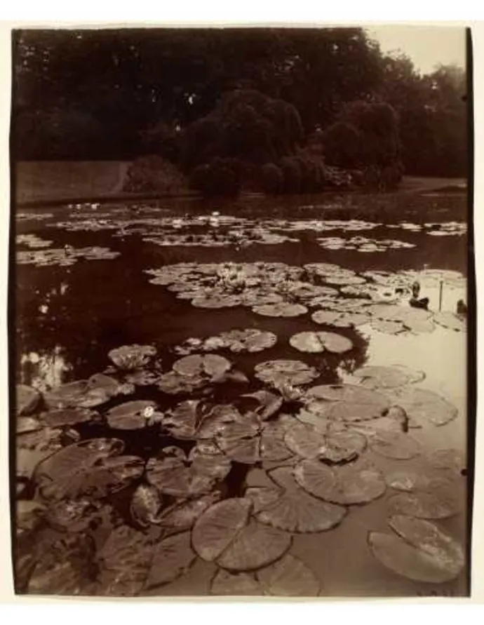 Eugene Atget vintažinė nuotrauka 17 – fotografijos plakatas | Framein – nuotrauka 1 iš 2