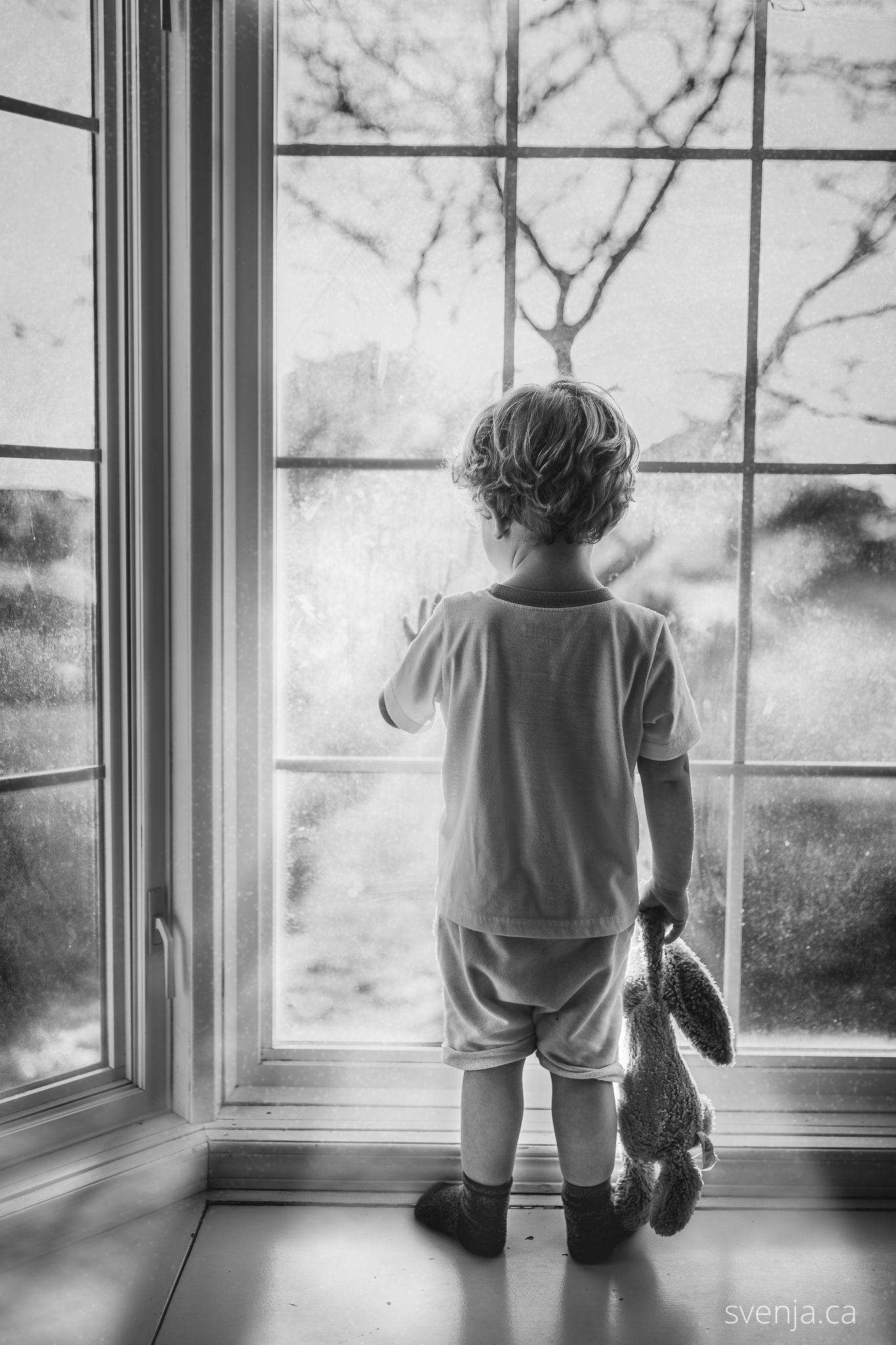 black and white photo of a toddler holding his stuffed bunny wild looking outside of a bay window